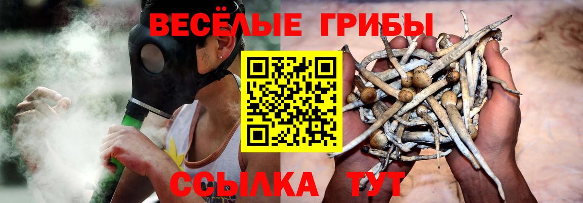 где можно купить наркотик  Вход с VPN  Псилоцибиновые грибы Cubensis  Улан-Удэ  Псилоцибиновые грибы мухоморы 
